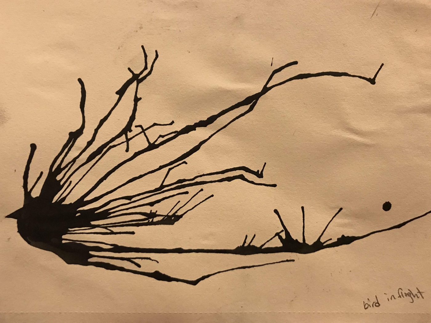 A pool of black ink blown into long branching streaks across tan paper, resembling a bird with spread feathers; the words bird in flight are handwritten in the corner.
