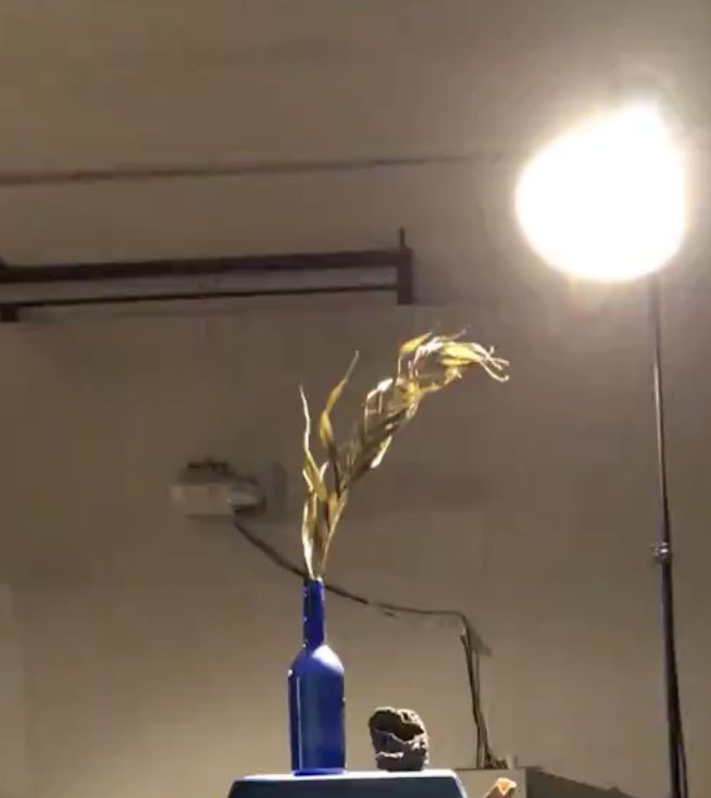 Photograph of a dried stalk leaning out of a blue glass bottle under a bright studio lamp.