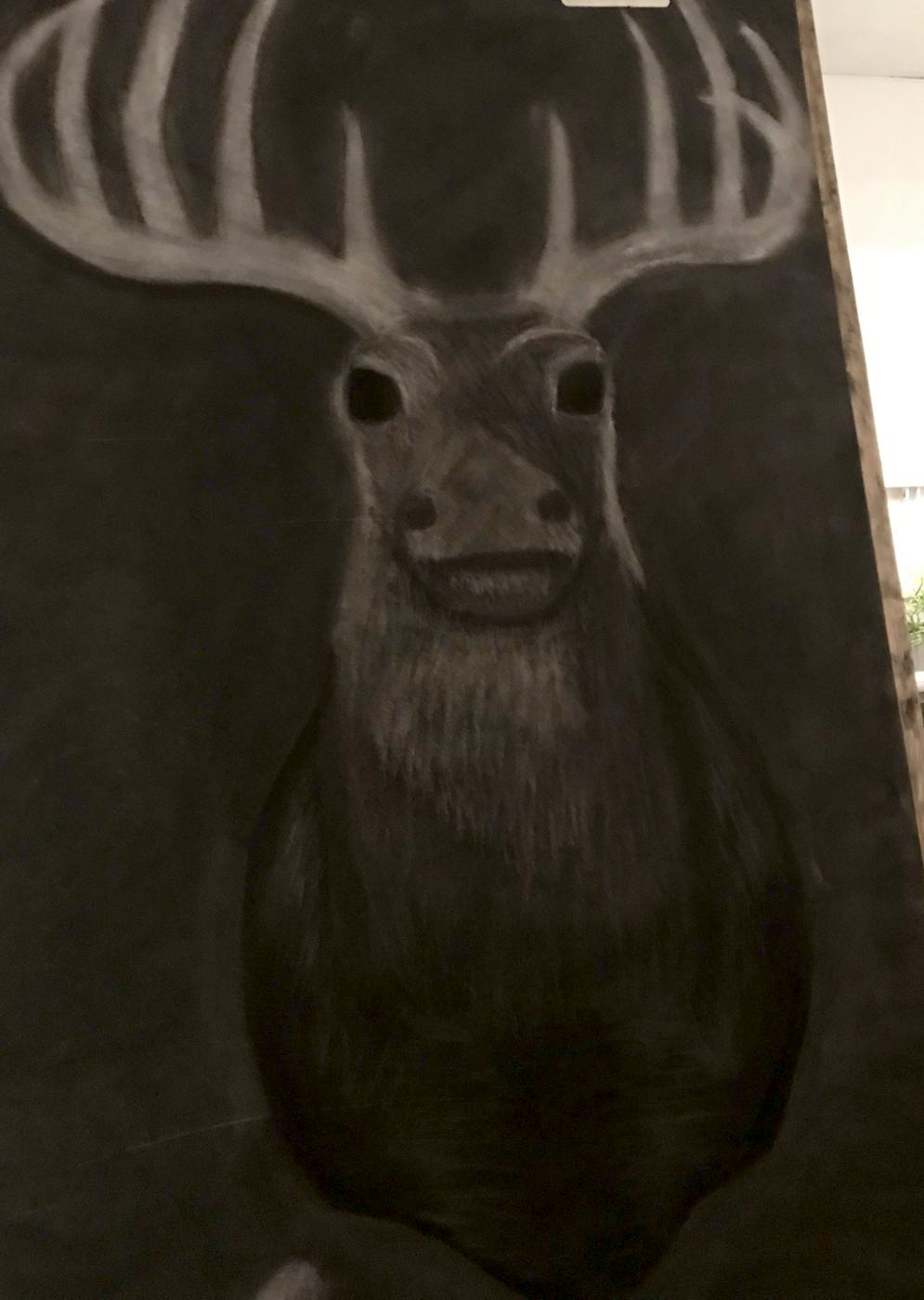 Drawing on black paper of a stag's head facing forward, its antlers and muzzle picked out in white and the body left dark.