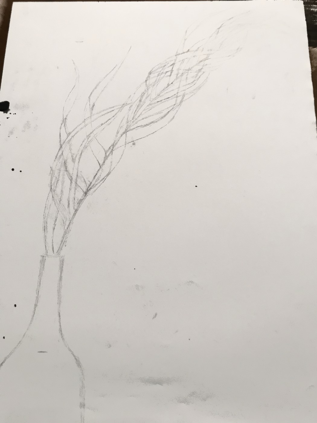 Faint pencil drawing of a bottle and a long stalk branching toward the upper right of a large sheet.