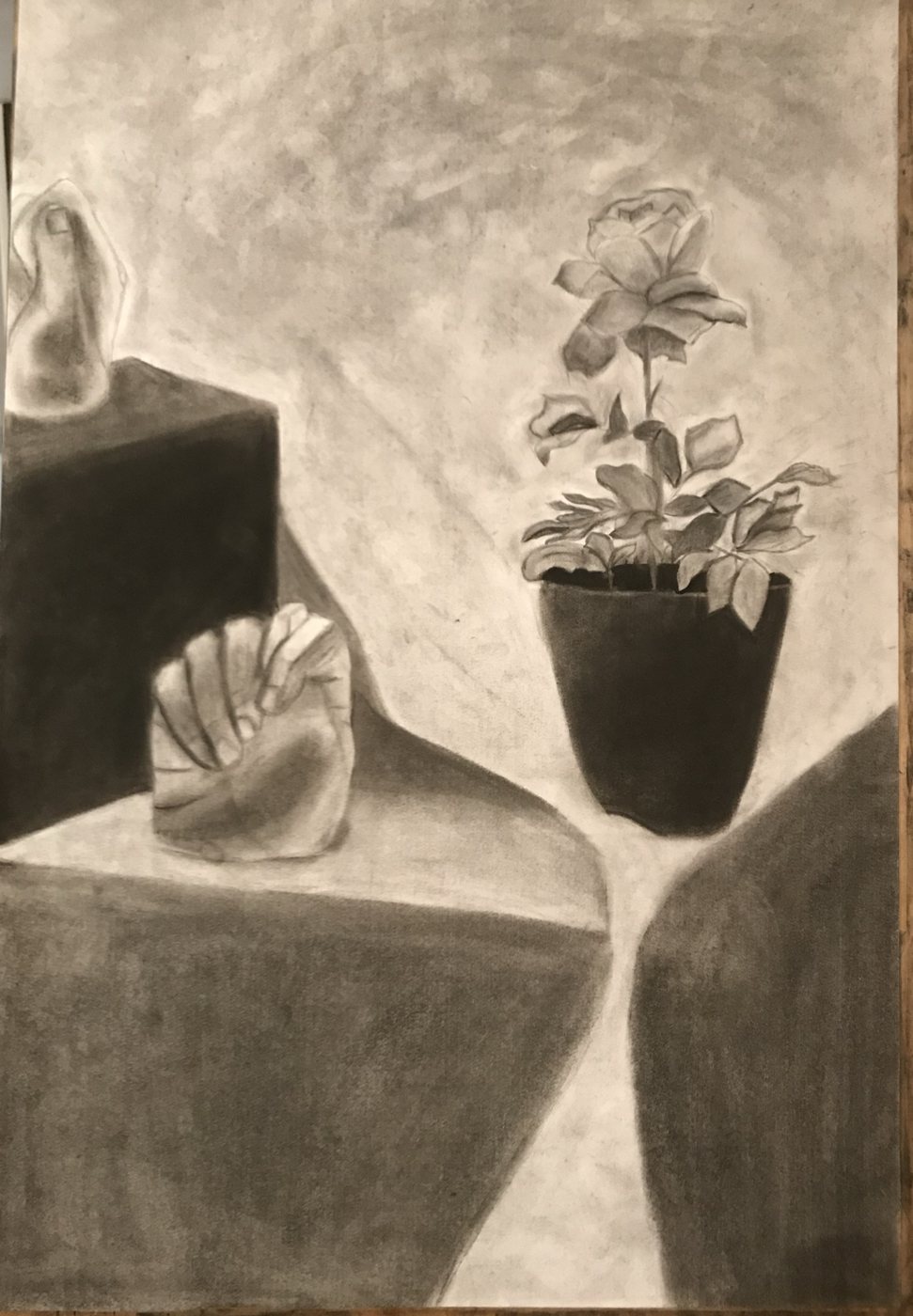 Charcoal drawing of a potted rose and a seashell on a table, with a cast of a hand on a dark box behind them and deep shadow across the floor.
