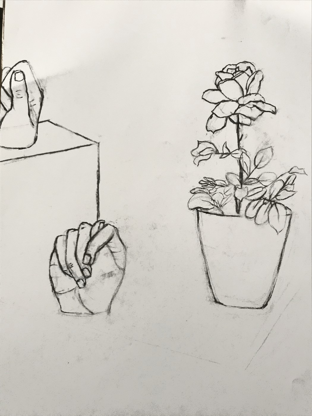 Pencil study of a hand hanging over the edge of a box, a second hand resting on top, and a potted rose drawn in outline.