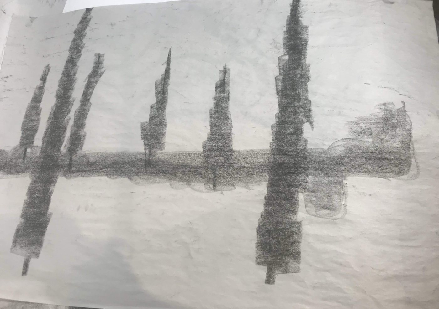 Charcoal drawing of five tall, narrow trees standing along a dark horizontal band.