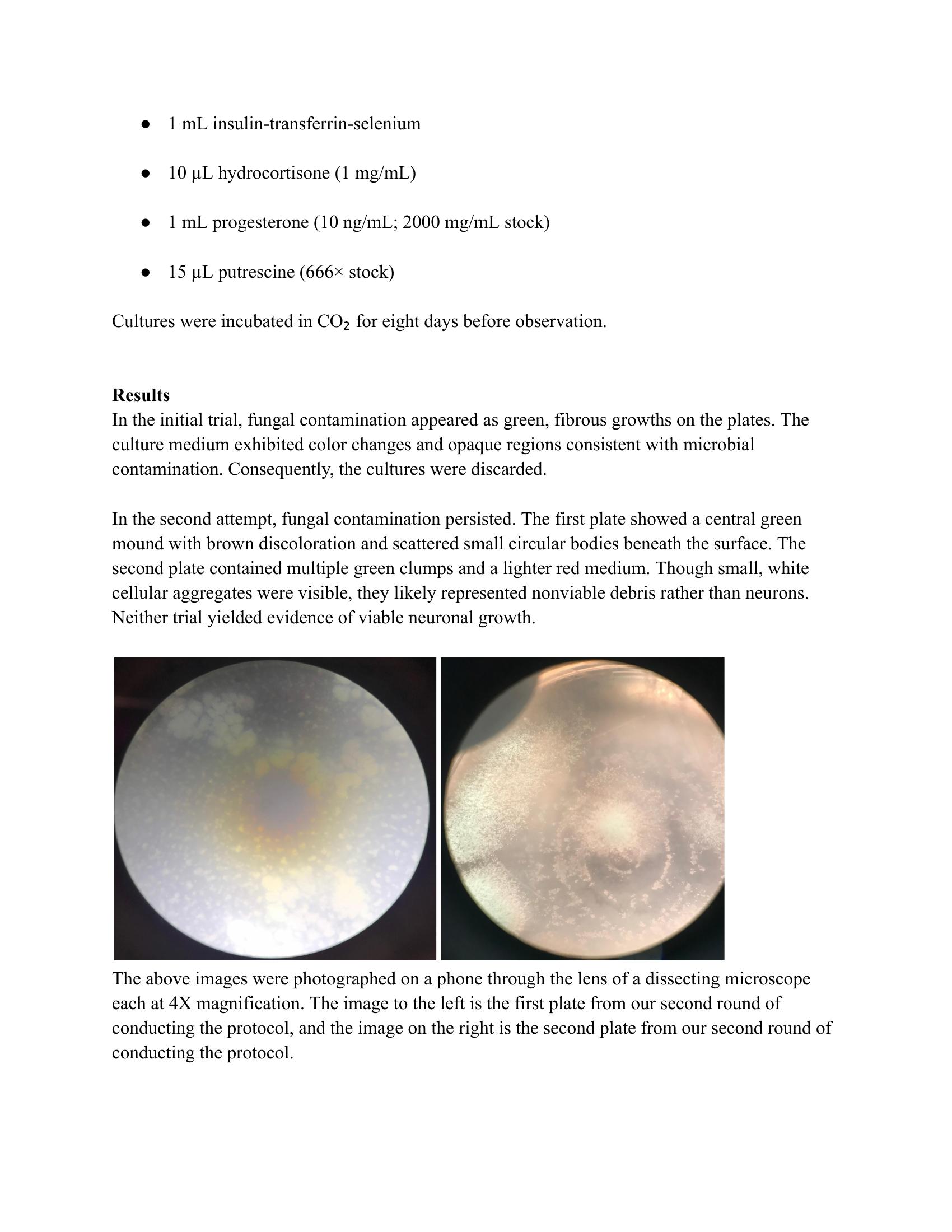 Contaminated culture plates from Trial 2